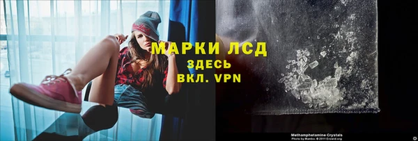 тгк Алзамай