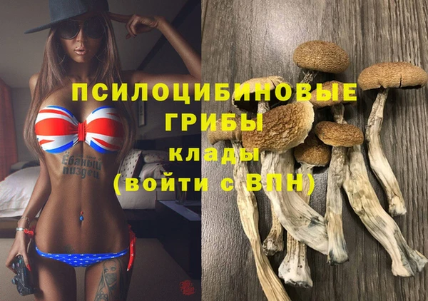 тгк Алзамай