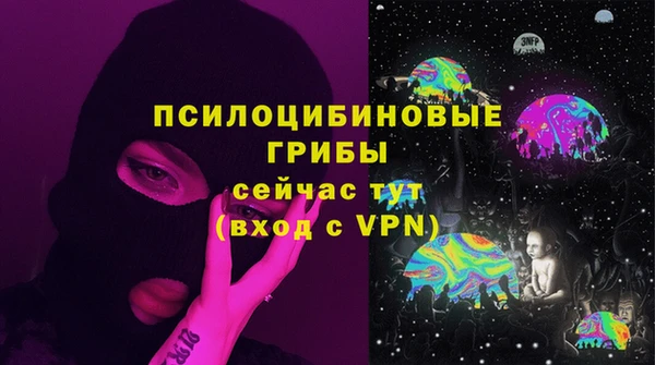 прущие грибы Вяземский