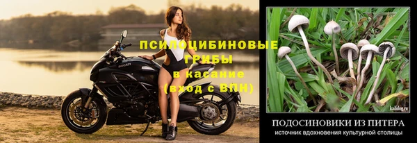 твердый Алексеевка