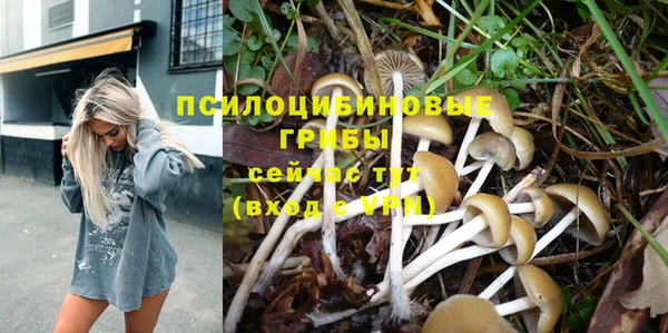 твердый Алексеевка