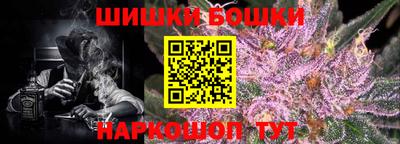 шишки Донской