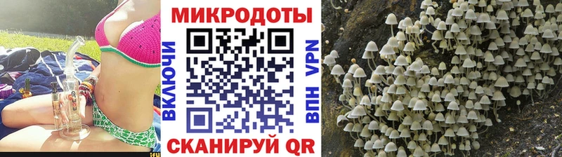 ОМГ ОМГ рабочий сайт Менделеевск Псилоцибиновые грибы Magic Shrooms